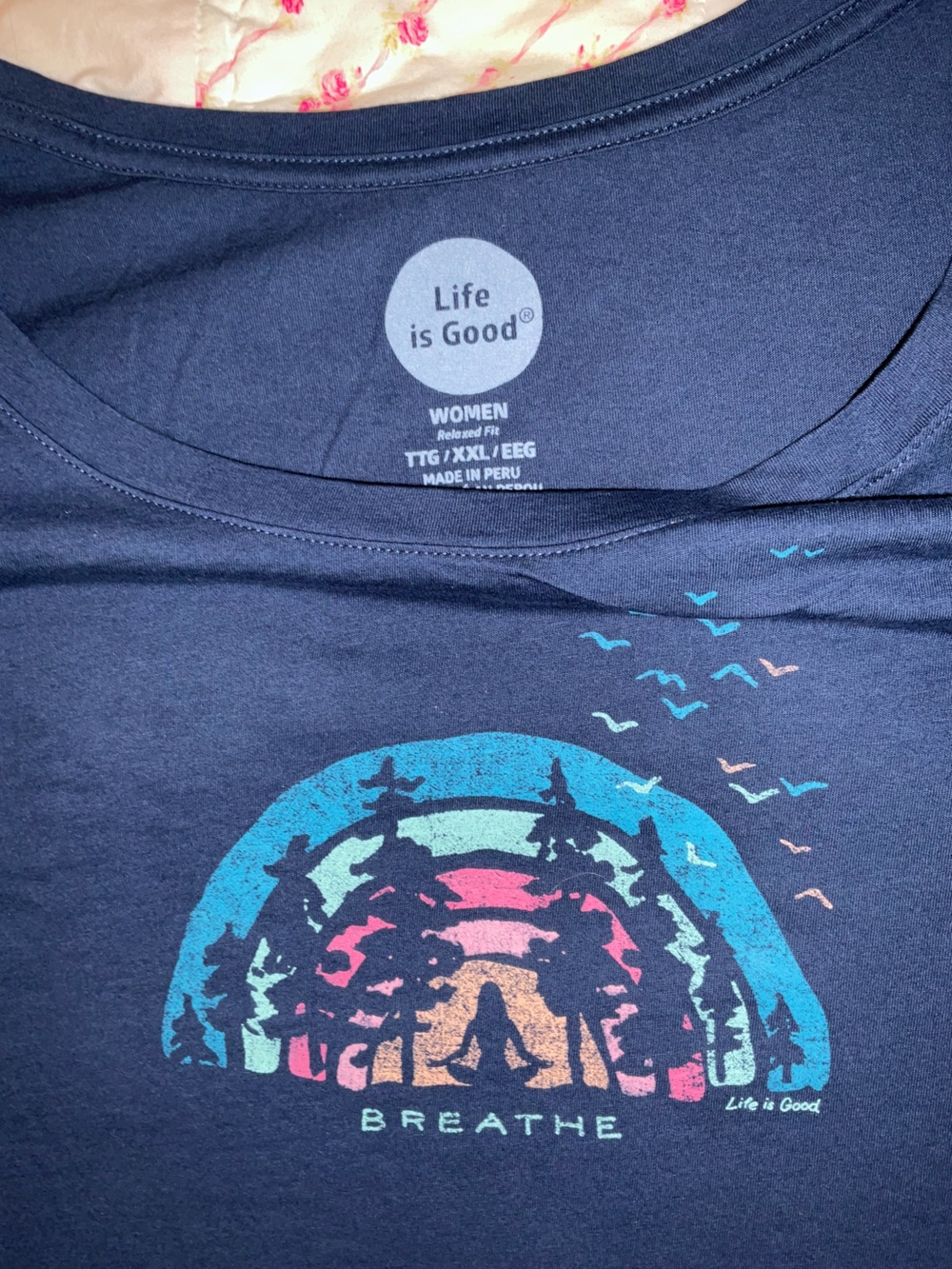 Life is Good Navy Long Sleeve Tee with Nature Graphic - Picture 2 of 3